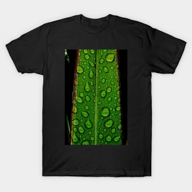 Rain on Green T-Shirt by PictureNZ